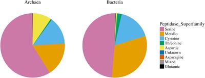 Distributions of Extracellular Peptidases Across Prokaryotic Genomes Reflect Phylogeny and Habitat